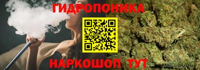 крисы Аргун