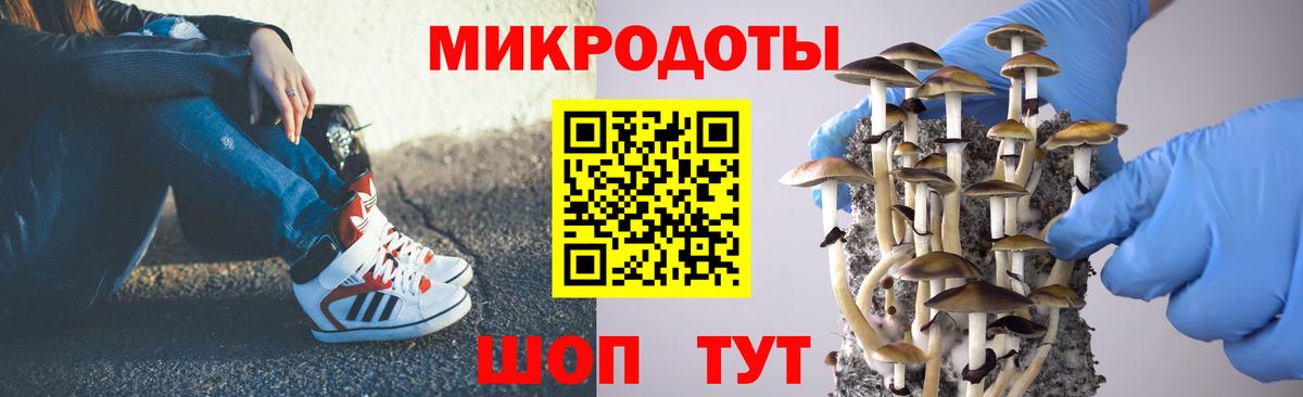 Волгоград  закладки  Вход с VPN  Псилоцибиновые грибы GOLDEN TEACHER 