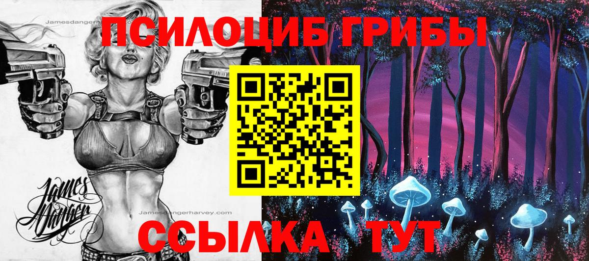 Псилоцибиновые грибы мухоморы Волгоград